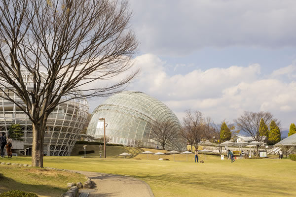 フルーツ公園